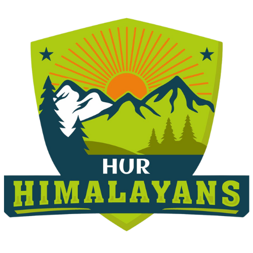 Haridwar University Sports Logo